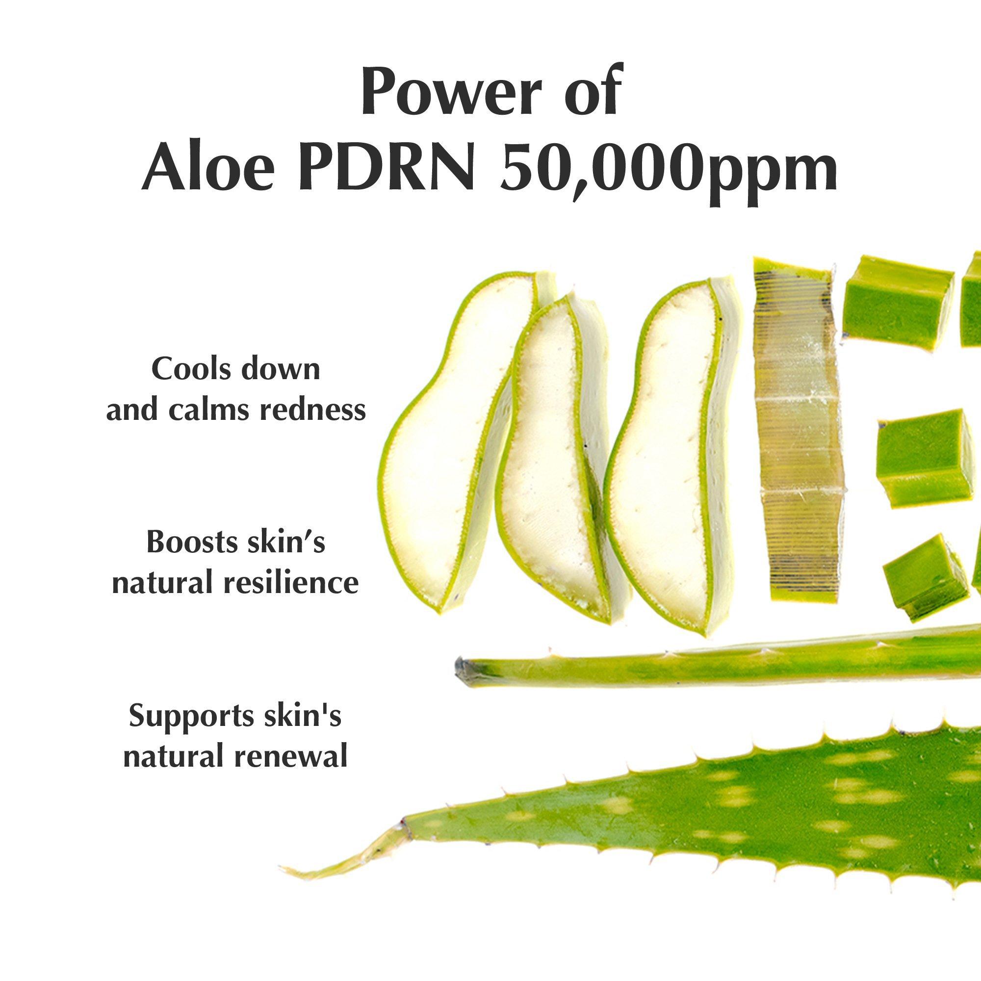 EQQUALBERRY Aloe Pdrn Calming Serum — фото 5