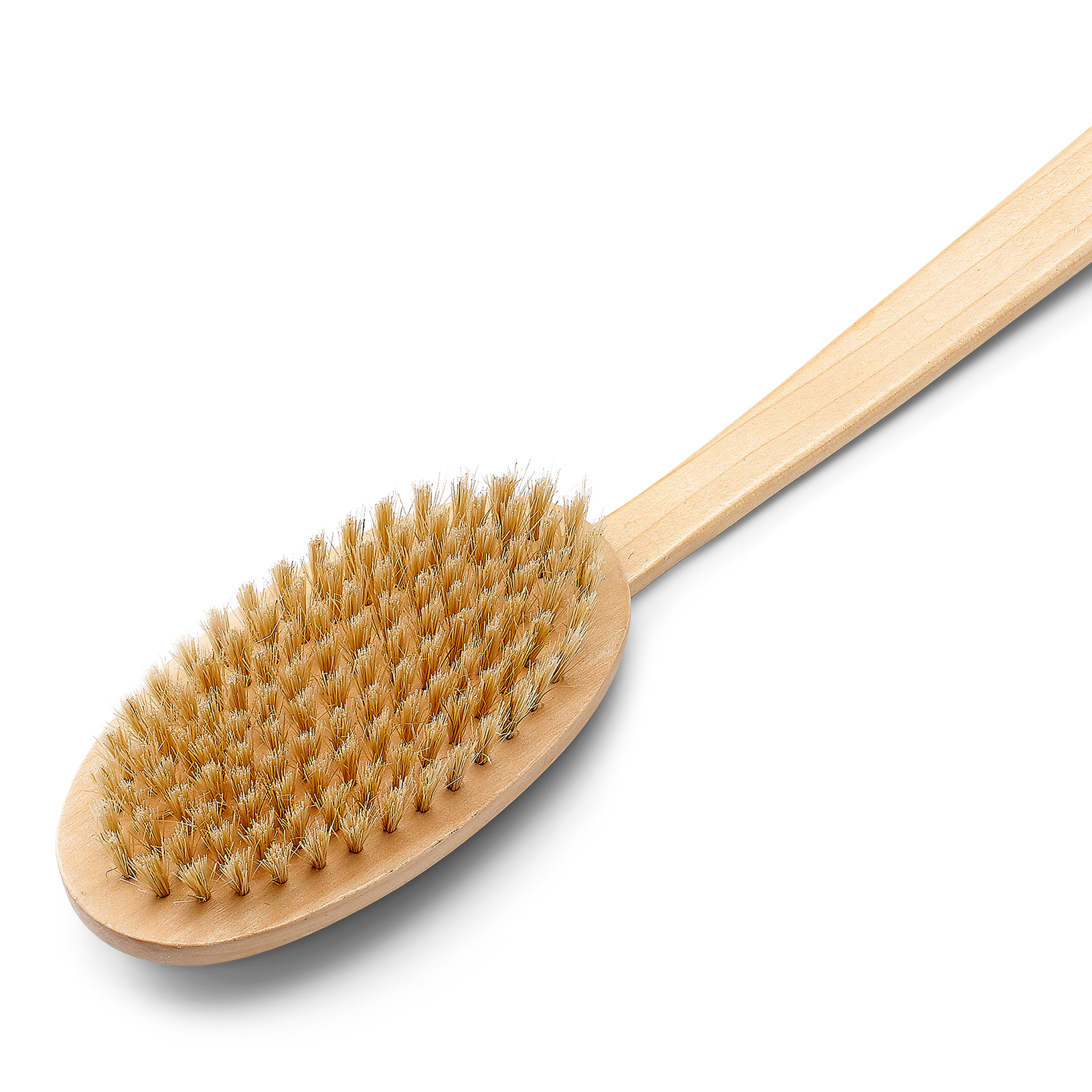 Far-Reaching Body Brush
