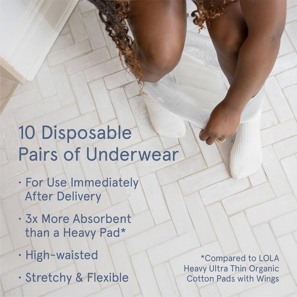 LOLA Organic Cotton Postpartum Underwear #5