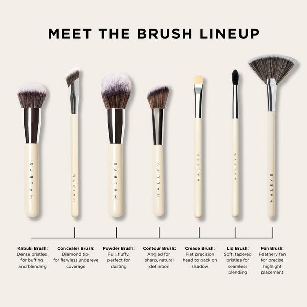 HALEYS Beauty Fan Brush #5