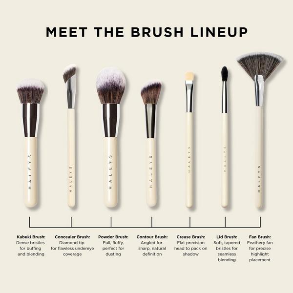HALEYS Beauty Contour Brush #6