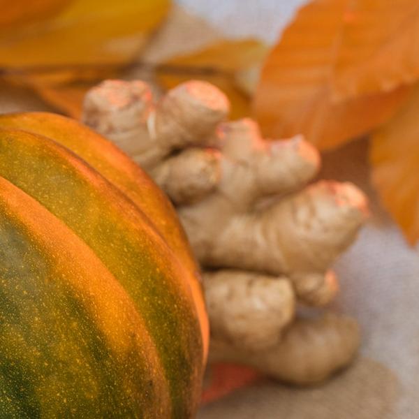 APOTHEKE Pumpkin Ginger Pura Smart Scent Fragrance Refill, Set of 2 #7