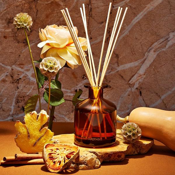 APOTHEKE Pumpkin Ginger Reed Diffuser #2