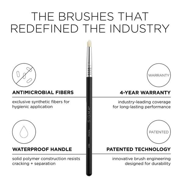 Sigma Beauty Basic Eye Brush Set #6