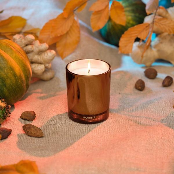 APOTHEKE Pumpkin Ginger Scented Candle #2
