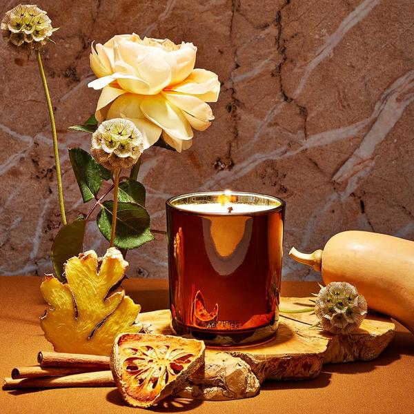 APOTHEKE Pumpkin Ginger Scented Candle #2