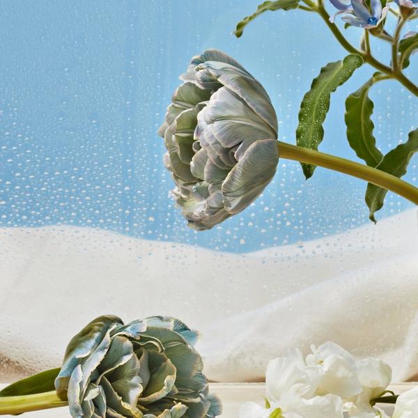 APOTHEKE Canvas Scented Candle #4