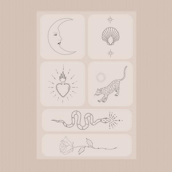 Barrière EVERYDAY DEFENSE Patch 6 Pack #3