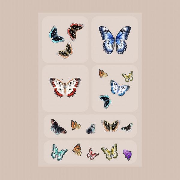 Barrière BRAINS & BEAUTY Patch 6 Pack #3