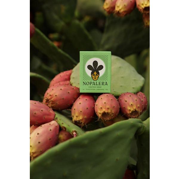 Nopalera Cactus Soap #4