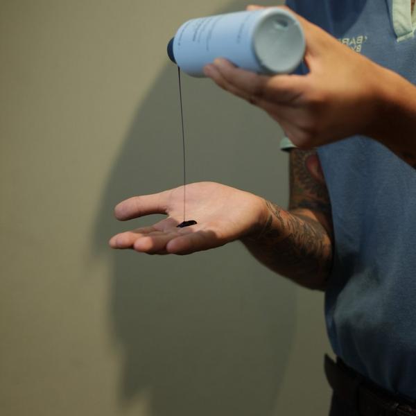 Barberino's Daily Silver Shampoo #4