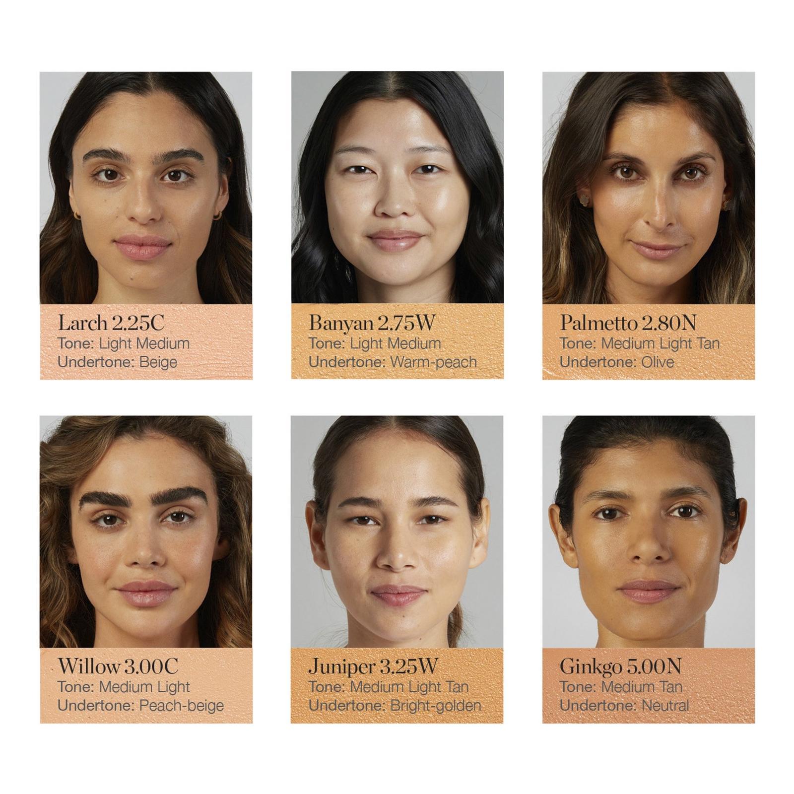 Sculpted Complexion Stick - Banyan 2.75W
