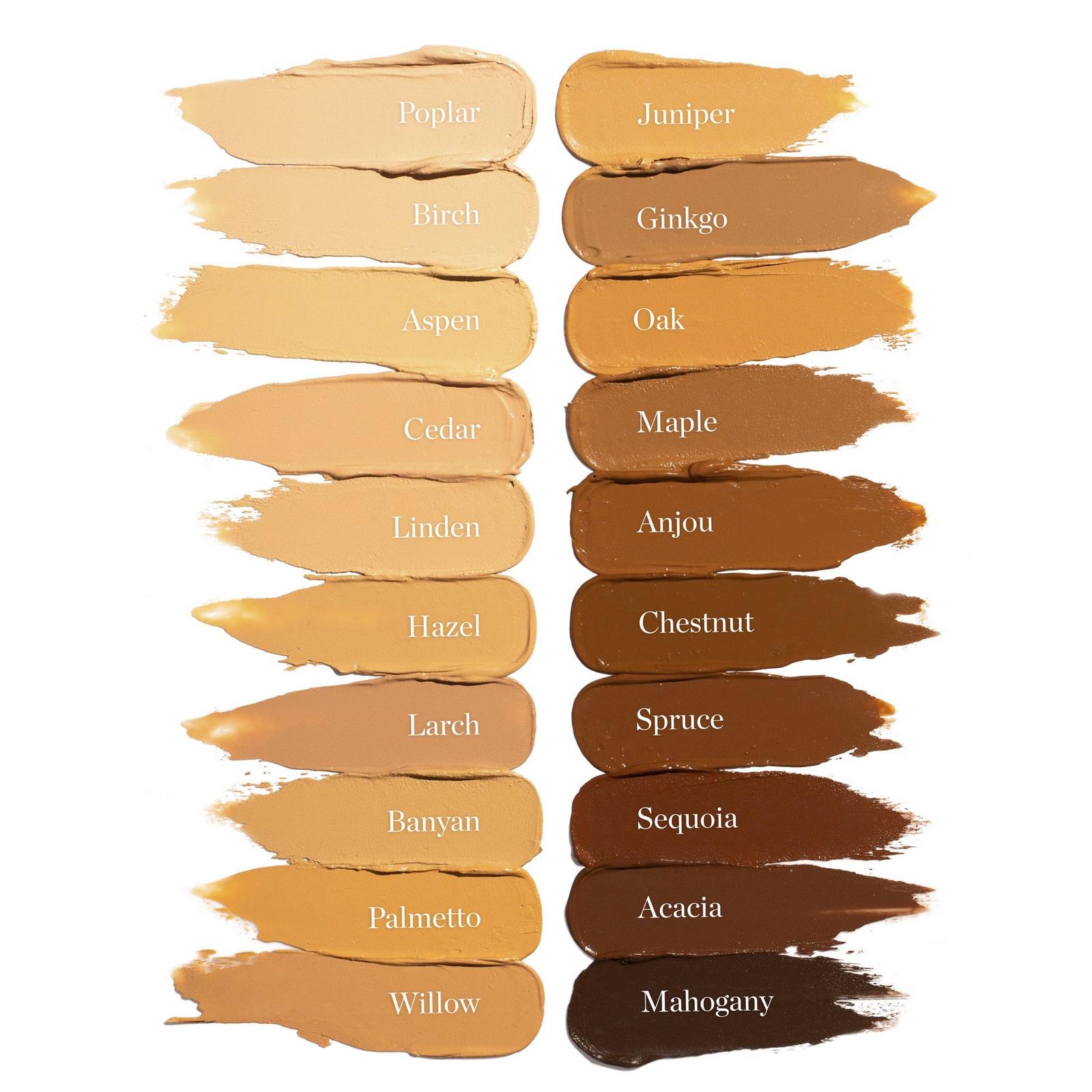 Sculpted Complexion Stick - Banyan 2.75W