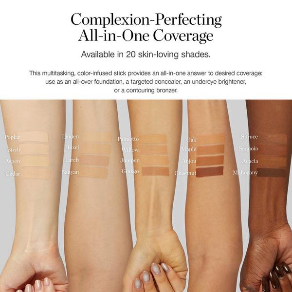 Ogee Sculpted Complexion Stick #6