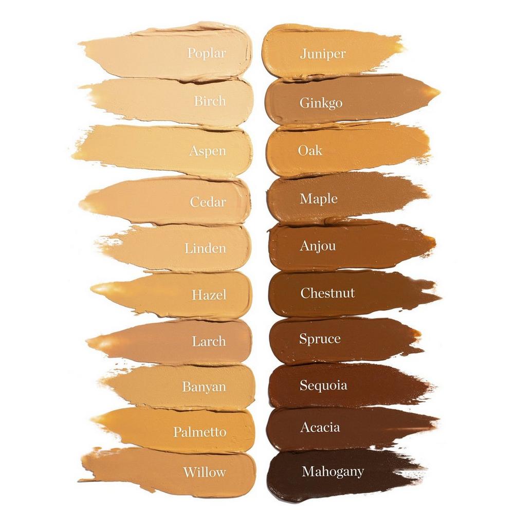 Sculpted Complexion Stick - Birch 0.25N