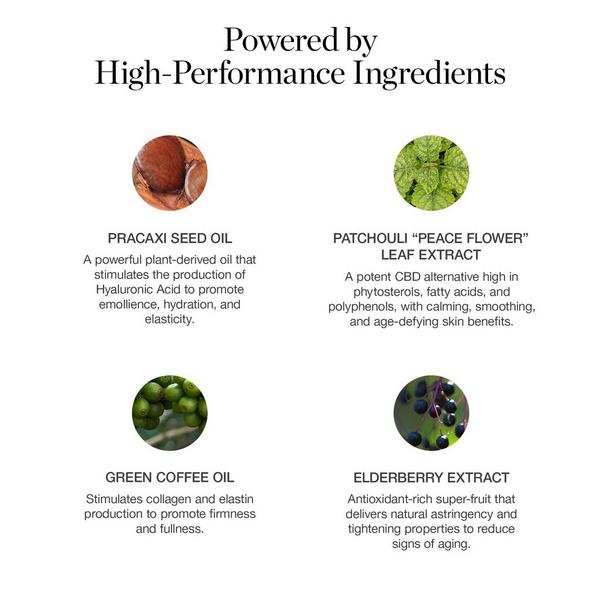 Ogee Sculpted Complexion Stick #9