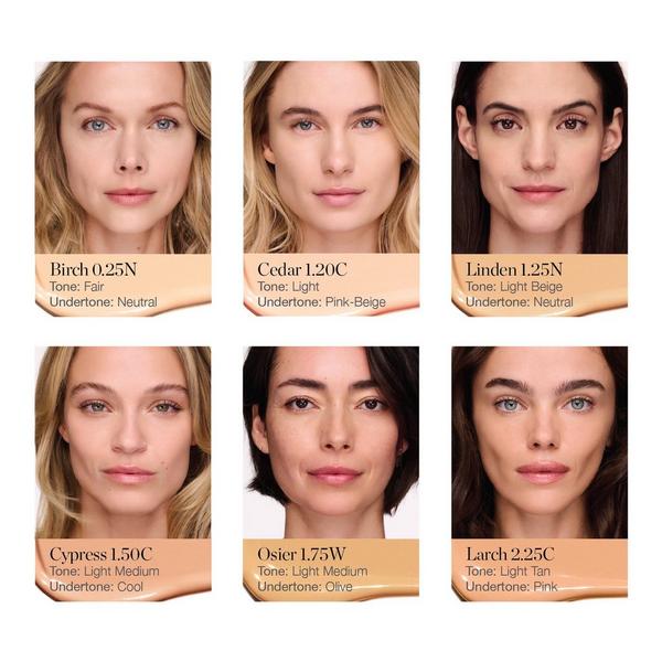 Ogee Complexion Perfecting Concealer #4