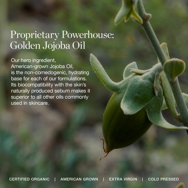 Ogee Complexion Perfecting Concealer #9