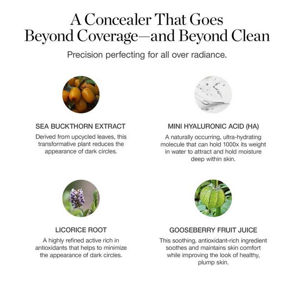 Ogee Complexion Perfecting Concealer #8