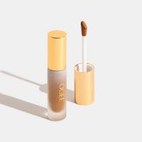 Complexion Perfecting Concealer