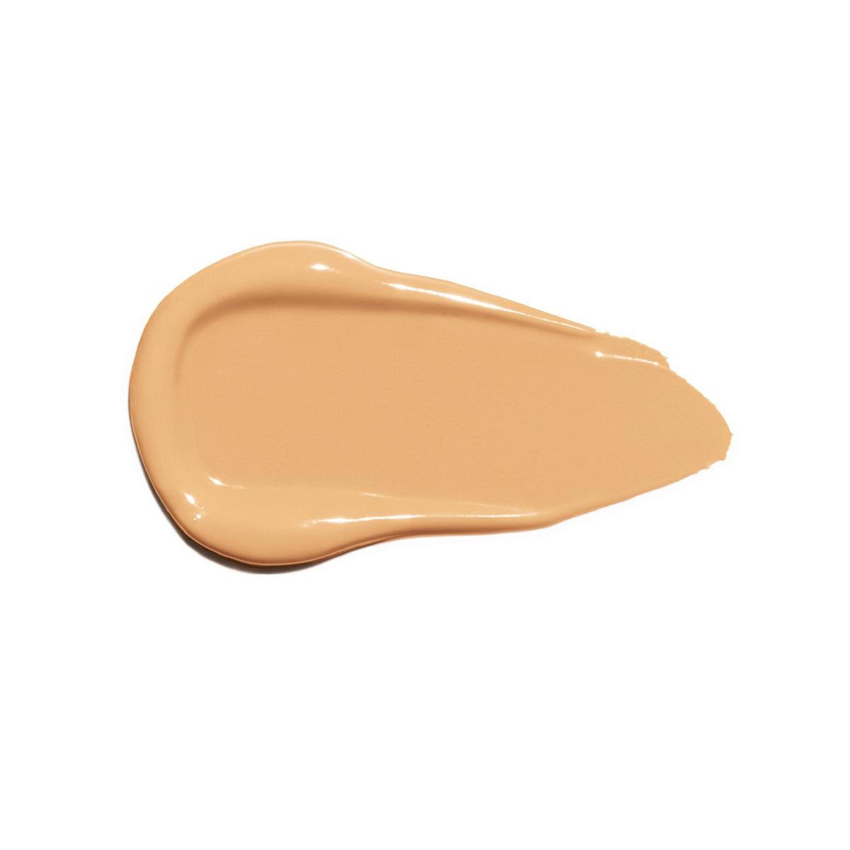 Complexion Perfecting Concealer - Banyan 2.75W