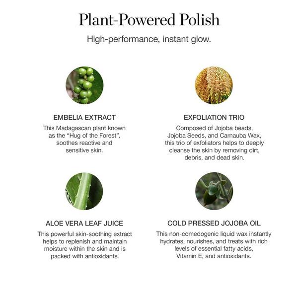 Ogee Botanical Brilliance Exfoliating Cleanser #6