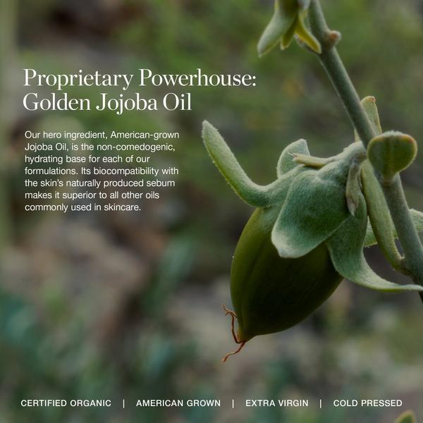 Ogee The Discovery Set #8