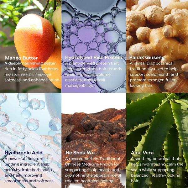 Luna Nectar Exploration 01 Ampoule Repair Shampoo #4