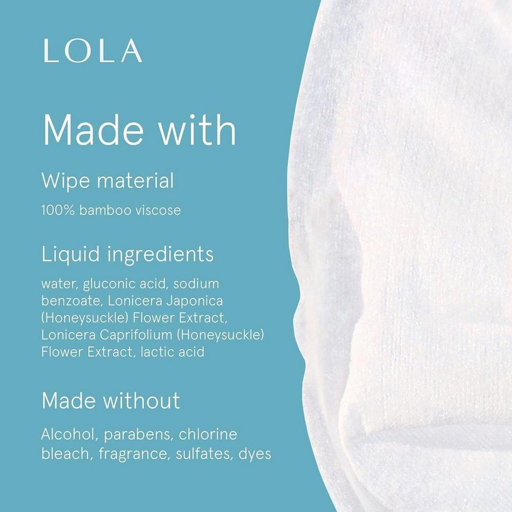 Cleansing Wipes Pouch