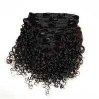 Sasha Curl Deep Curly Human Hair Clip Ins Extensions