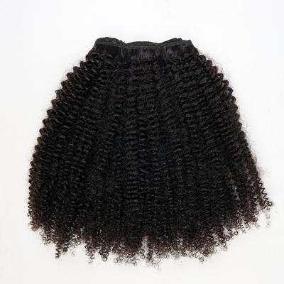 True + Pure Texture Jasmine Coil Afro Kinky Curly Human Hair Wefts (Bundles) Extensions