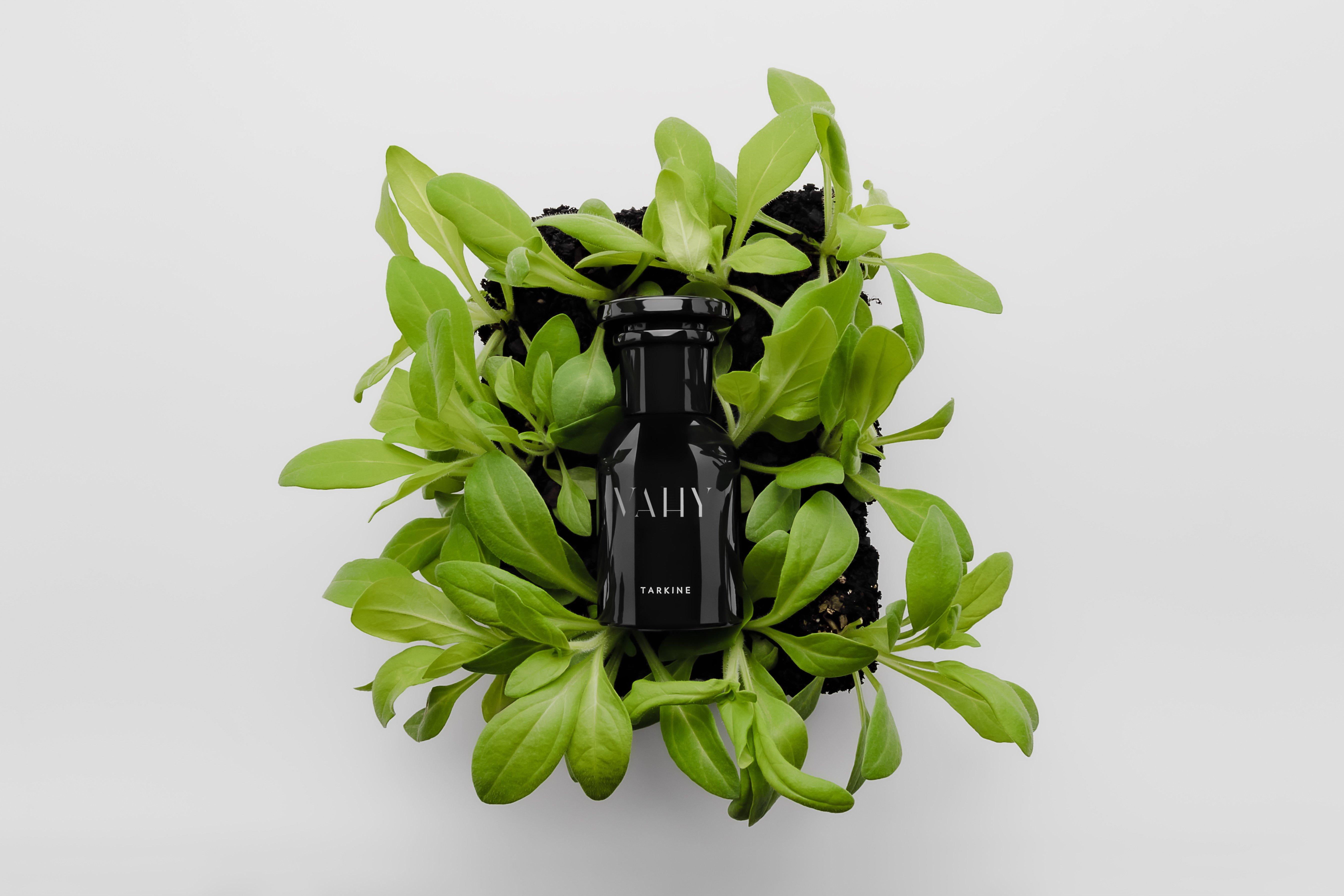 Vahy Tarkine Perfume - Thumbnail 3