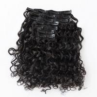 Island Curl Deep Wave Curly Human Hair Clip Ins Extensions