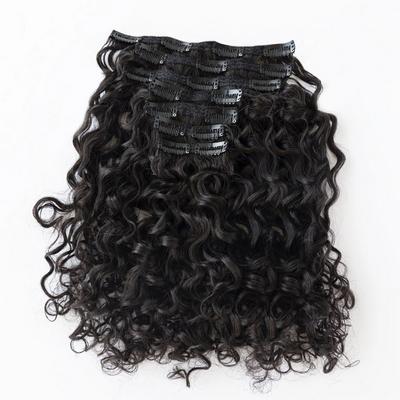 True + Pure Texture Island Curl Deep Wave Curly Human Hair Clip Ins Extensions