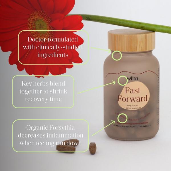 WTHN Fast Forward #2