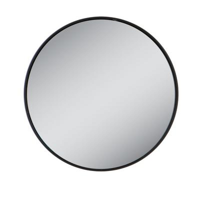 Zadro Compact Mirror with 10X Magnification & Suction Cups