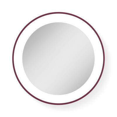 Zadro LED Ring Lighted Compact Mirror with 10X, Suction Cups