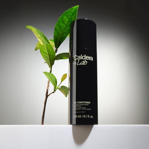 Caldera + Lab The Conditioner | Repairing Conditioner #2