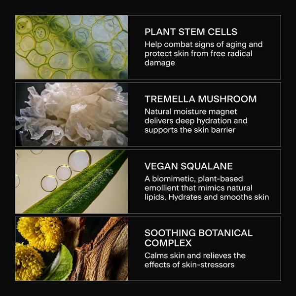 Caldera + Lab The Base Layer #6