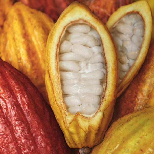 Natura Ekos Cacau Body Lotion #5