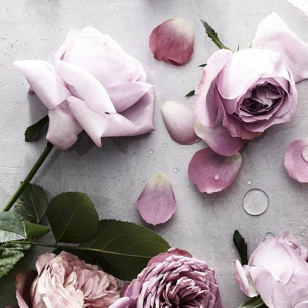 Decorté Kimono Tsuya Eau De Toilette #2