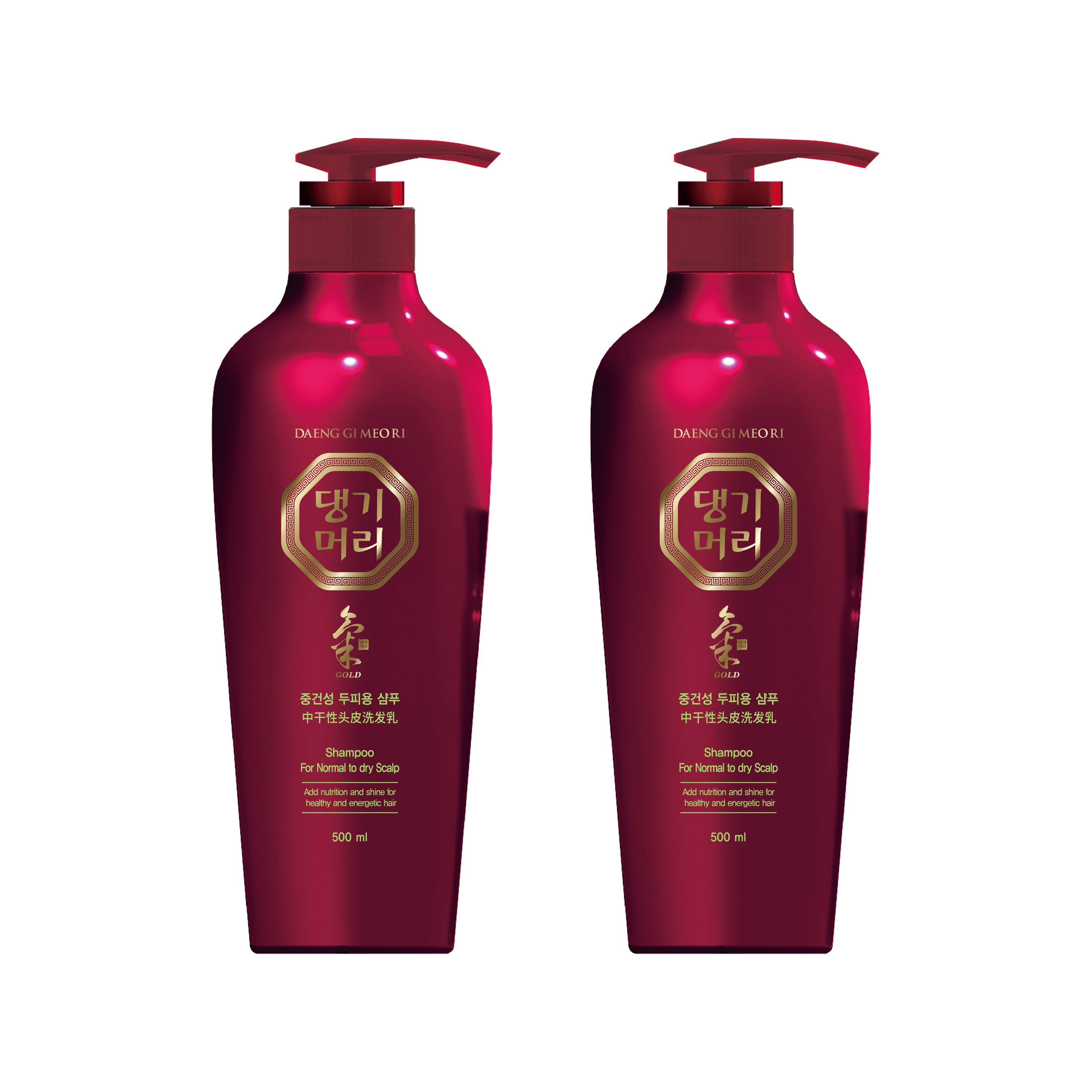 Daeng Gi Meo Ri Shampoo for Normal to Dry Scalp #1