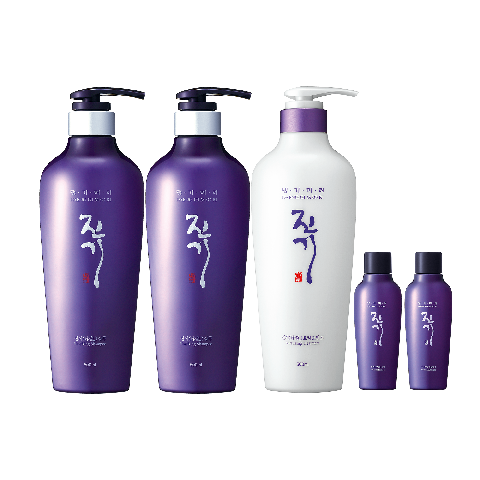 Daeng Gi Meo Ri Vitalizing Nutrition Hair Care Set #1