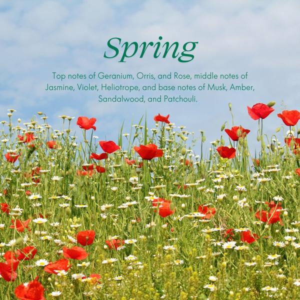 Safely Spring Laundry Detergent #4