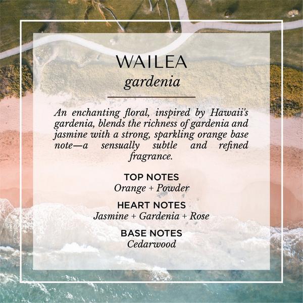 Malibu Apothecary Votive Discovery Set #4