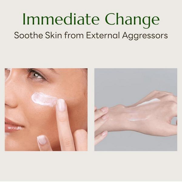 Molvany Artichoke Calming Care Soothing Cream #4