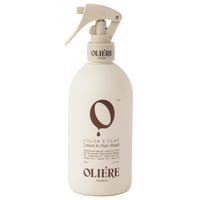 Color E'clat Leave-in Hair Mask
