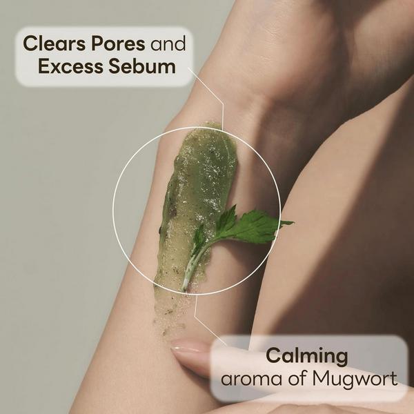 Molvany Mugwort Heating Therapy Pack #3