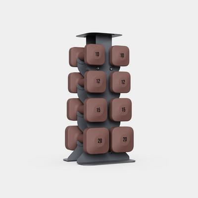 WeGym SafeGrip Dumbbells Upper Set with Dark Rack