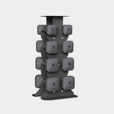 WeGym SafeGrip Dumbbells Middle Set with Light Rack